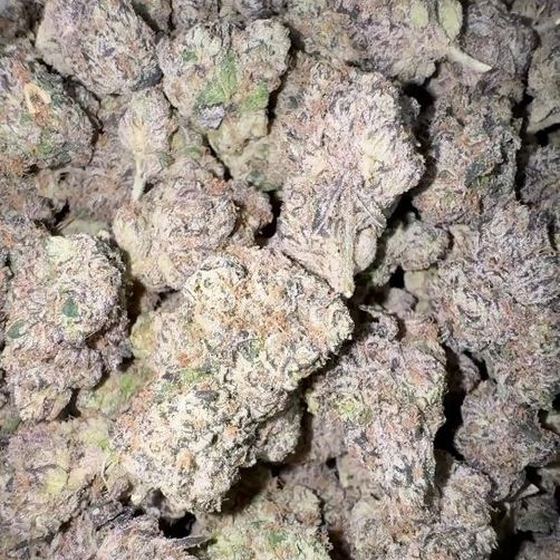 Premium indoor flower on the shelf