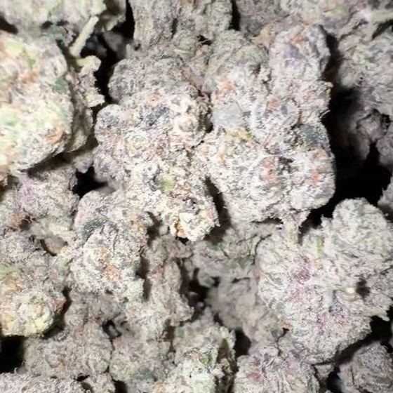 Bubblegum Popperz