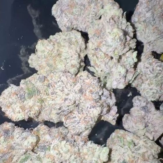 Plum Popperz