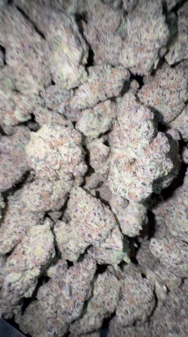 Tartz